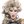 JODIE HARSH